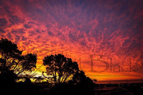 _CBP5699-Edit