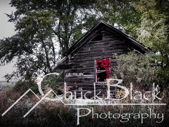 Fall 2012-4-Edit-Edit-Edit