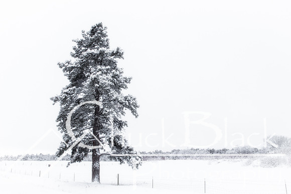 untitled-4069-Edit