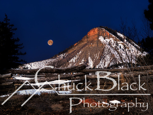 IMG_4263-Edit-Edit-Edit