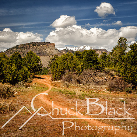 Durango Spring-49-Edit