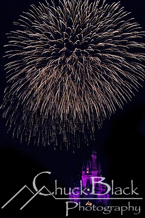 DisneyWorld2012-2552