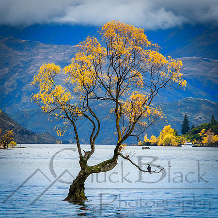 untitled-3418-Edit