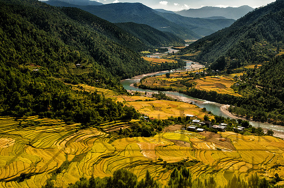 Bhutan Rice Valley